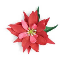 Zestaw wykrojników Thinlits - Sizzix - Poinsettia Flower, 7 szt.