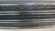 Grill Grill FORD ECOSPORT CN15-17B968-DDW 13