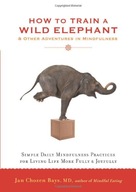 How to Train a Wild Elephant: And Other