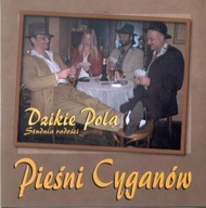 [CD] Dzikie Pola - Pieśni Cyganów Studnia Radości