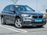 BMW X1 xDrive25d, Salon Polska, Serwis ASO