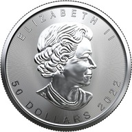 Srebrna Moneta Kanadyjski Liść Klonu 2022, 1 uncja + kapsel