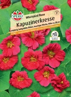 Nasturtium 'Whirlybird Rose' Semená PREMIUM Sperli