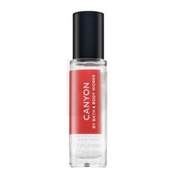 Bath & Body Works Canyon kolínska voda pre mužov 15 ml