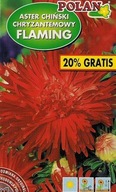 Aster chryzantéma Flaming 1.2g červená