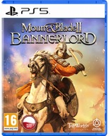 Mount & Blade II Bannerlord PS 5