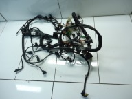 BMW 2.0D N47D20 Motorkabelbaum 850789307