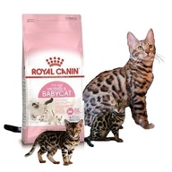 Royal Canin FHN Baby Cat 36 0,4 kg