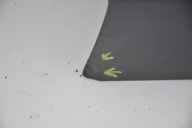 door front front right HONDA INSIGHT II