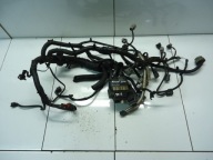 NISSAN RENAULT 2.0DCI 2.0 DCI cablaggio cablaggio Motore