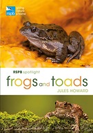 RSPB Spotlight Frogs and Toads Howard Mr Jules