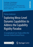 Exploring Meso-Level Dynamic Capabilities to