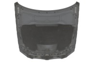 cofano coperchio * motore BMW 3 E92 E93