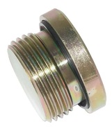 VSR06WD Zátka s tesnením 3/8" BSP