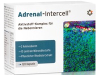 ADRENAL-INTERCELL STRES ÚNAVA NEDOSTATOK KONCENTRÁCIE