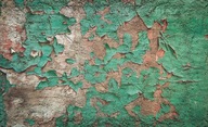 Fototapeta flizelinowa 254x184 Stary zielony wybielacz na ścianie +klej