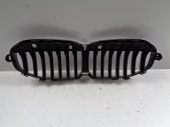Grille BMW 1 F40 19