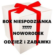 Paczka ubrań NIESPODZIANKA 20 szt dla noworodka 0-3 m-ce 50-62 cm