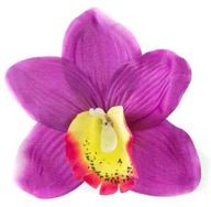 Storczyk cymbidium główka Kwiat Purple/yellow