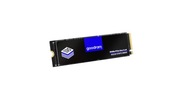 Dysk SSD GOODRAM PX500 256GB PCIe M.2 Gen.2