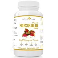 FORSKOLIN POKRZYWA INDYJSKA NA ODCHUDZANIE 120KAPS