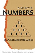 A Study of Numbers: A Guide to the Constant