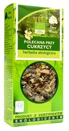 HERBATKA POLECANA PRZY CUKRZYCY BIO 50 g - DARY NATURY