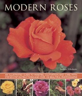Modern Roses Mikolajski Andrew