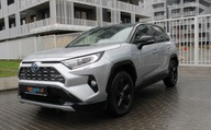 Toyota RAV4 Hybrid, Selection, 4x4, panorama, ...