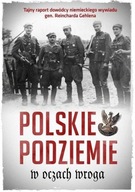 POLSKIE PODZIEMIE W OCZACH WROGA W.2, JAN RYDEL