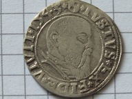 Prusy Książęce - Albrecht Hohenzollern - Grosz Królewiec 1543
