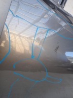 NISSAN X-TRAIL III 3 T32 13-21 door front front left