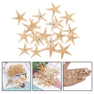Muszelki Mini rozgwiazdy rękodzieło dekoracyjne naturalne gwiazdy morskie DIY 3-5cm 20szt
