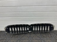 grille radiator (grill) BMW 3 G20 G21 5A1BF69
