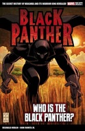 Marvel Select Black Panther: Who Is The Black