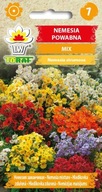 Nemezia Povzbudzujúci mix - Semená 0,3g, Viacfarebné Kvety do záhrady