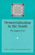 Democratization in the South group work