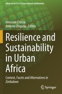 Resilience and Sustainability in Urban Africa: