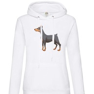 bluza z kapturem KK-B doberman pinczer M