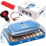 AUTOMATA INKUBÁTOR DINO PRO SERIES 70 TOJÁS Fürj 12V 230V