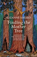 Finding the Mother Tree: Uncovering the Wisdom