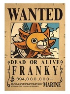 Plakat One Piece Franky anime !!