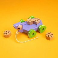 Bajo: hračka na ťahanie korytnačky Galapágy