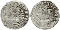Zygmunt I Stary. Półgrosz Litewski 1511 (RR) Rare