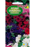 Petunia záhradná balada F1 0.1g červená