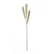 Dekoria Pampová tráva 110cm zelená