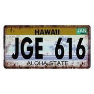 Dekoratívna tabuľa Plech Hawaii JGE 616 Aloha State