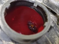 FIAT ULYSSE II light right rear part