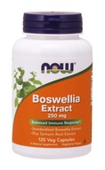 NOW Foods Boswellia Plus Turmeric Root Extract 250mg KADZIDŁOWIEC STAWY 120