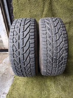 Riken Snow 225/45R17 94V